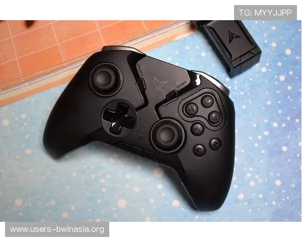 博鱼中国官网最新版本上线，全面优化游戏体验与用户界面提升用户满意度