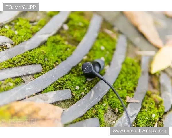 博鱼电竞app多平台同步登录功能介绍实现多设备无缝切换体验