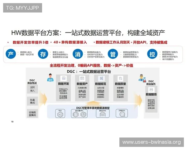 选择必赢旗舰平台打造高效稳定的企业运营新模式